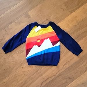 🍂2/$15🍂Gymboree Toddler Boy Sweater